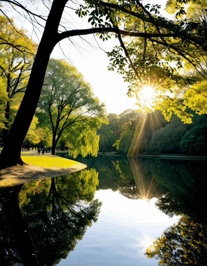 morningside park