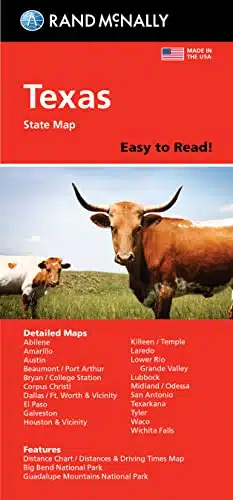 Rand McNally Easy To Read Texas State Map