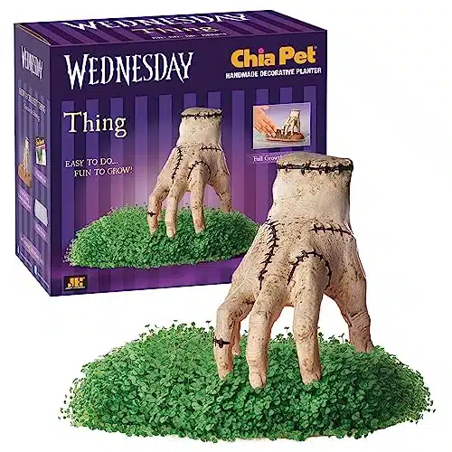 Chia Pet Thing   Wednesday with Seed Pack, Decorative Pottery Planter, Easy to Do and Fun to Grow, Novelty Gift, Perfect for Any Occasion