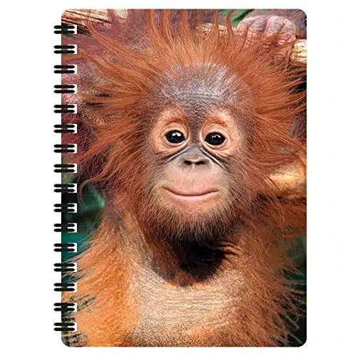 D LiveLife Jotter   Baby Orangutan from Deluxebase. Lenticular D Monkey xSpiral Notebook with plain recycled paper pages. Artwork licensed from renowned artist David Penfound