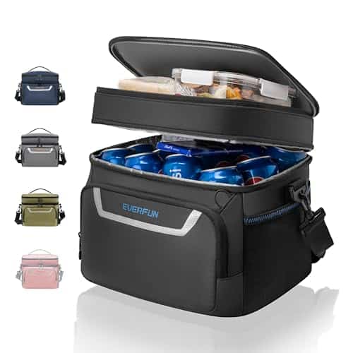EVERFUN Small Cooler Bag Insulated Beach Cooler Lunch Bag for Men Can Dual Compartments Reusable Waterproof Leak Proof for Travel Work Picnic, Black