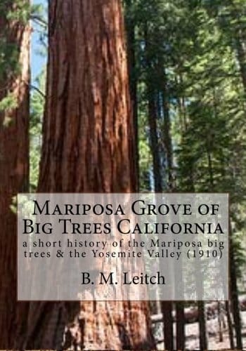 Mariposa Grove of Big Trees