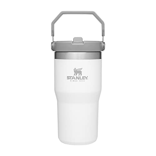 Stanley IceFlow Stainless Steel Tumbler   Vacuum Insulated Water Bottle for Home, Office or Car   Reusable Cup with Straw Leakproof Flip   Cold for Hours or Iced for Days (Polar)