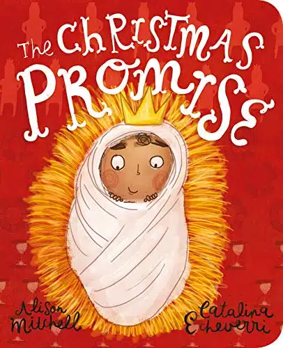 The Christmas Promise Board Book (Teaches toddlers about the birth of Jesus in this simple version of the Christmas story) (Tales That Tell the Truth for Toddlers)
