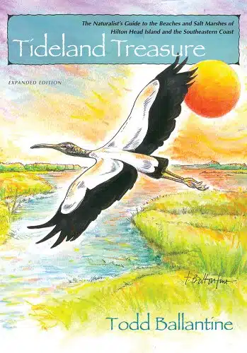 Tideland Treasure The Naturalist's Guide to the Beaches and Salt Marshes of Hilton Head Island and the Atlantic Coast