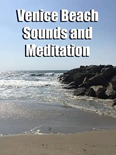 Venice Beach Sounds and Meditation