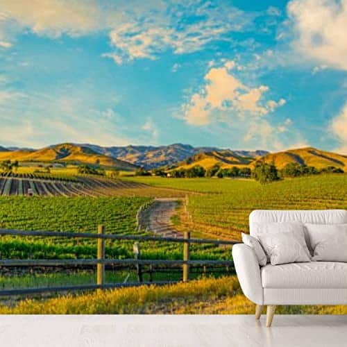 Wall Mural Spring Vineyard Santa Ynez Valley Santa Barbara CA Peel and Stick Self Adhesive Corner Wallpaper Removable Large Sticker Wallpaper Wall Decor Print Nature Landscape Panorama