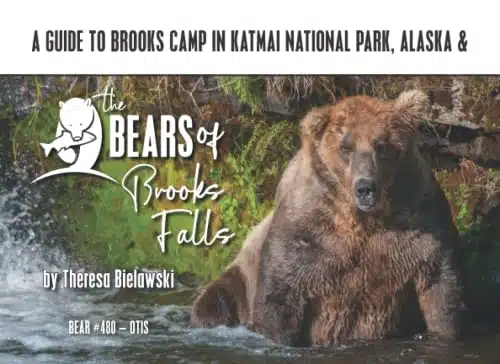 A GUIDE TO BROOKS CAMP IN KATMAI NATIONAL PARK, ALASKA & THE BEARS OF BROOKS FALLS
