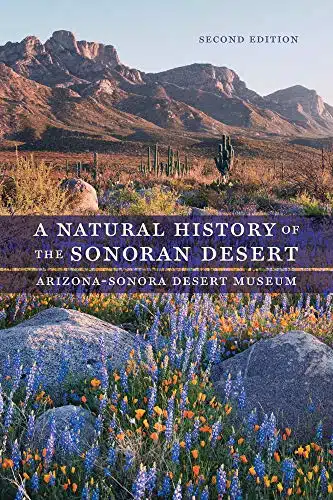A Natural History of the Sonoran Desert