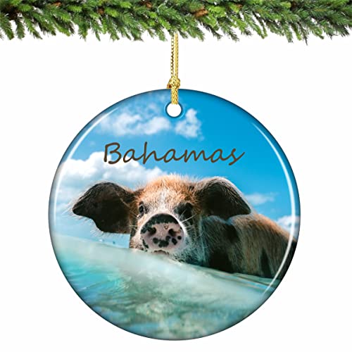Bahamas Swimming Pig Christmas Ornament Porcelain Inches