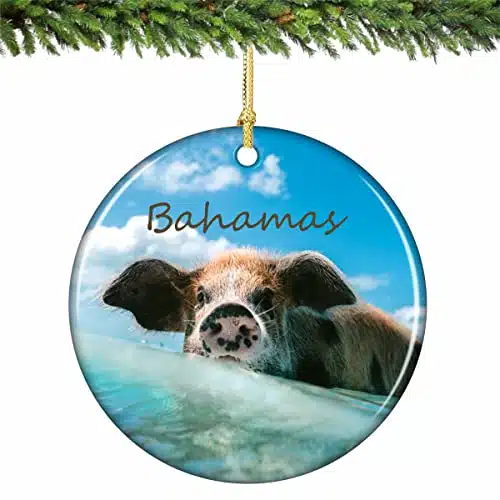 Bahamas Swimming Pig Christmas Ornament Porcelain Inches