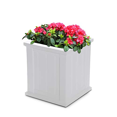 Mayne  Cape Cod in Square Planter, in L x in W x in H, White