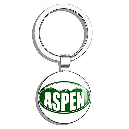 PRS Vinyl Aspen Green Mountain Oval   Colorado Snow ski Town Resort Double Sided Stainless Steel Keychain Key Ring Chain Holder CarKey Finder