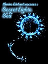 Bioluminescence Secret Lights in the Sea DVD with worksheet