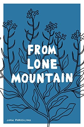 From Lone Mountain