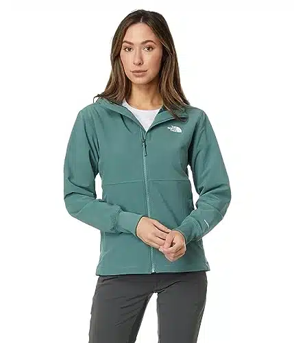THE NORTH FACE Women's Shelbe Raschel Fleece Hooded Jacket (Standard and Plus Size), Dark Sage, Small
