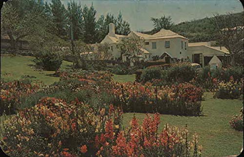The Garden at Waterlot Inn Southampton, Bermuda Original Vintage Postcard