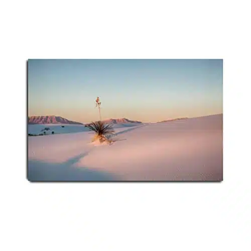 VIUBGCPS Canvas Print Pictures Wall Art Painting Adams in White Sands National Park Framed & Stretched Posters Ready to Hang Home Decor Artworks   xinch