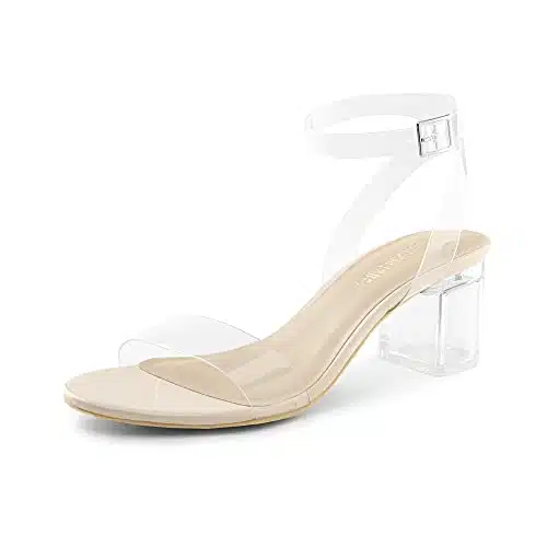 DREAM PAIRS Womens Carnival Clear Open Toe Ankle Strap Low Block Chunky Heels Sandals Party Dress Pumps Shoes, NudeClear