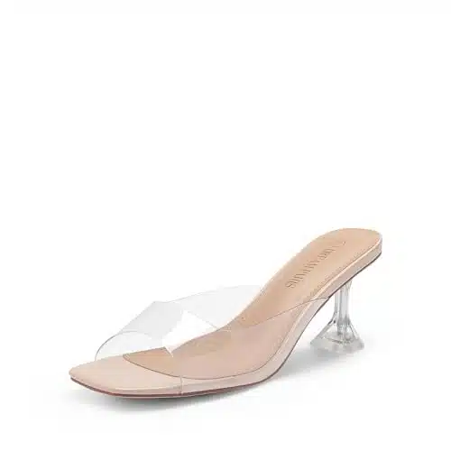 DREAM PAIRS Womens Clear Heels Square Toe High Stiletto Mules Slip on Wedding Dress Heel Sandals,,Nude Clear low,DHS